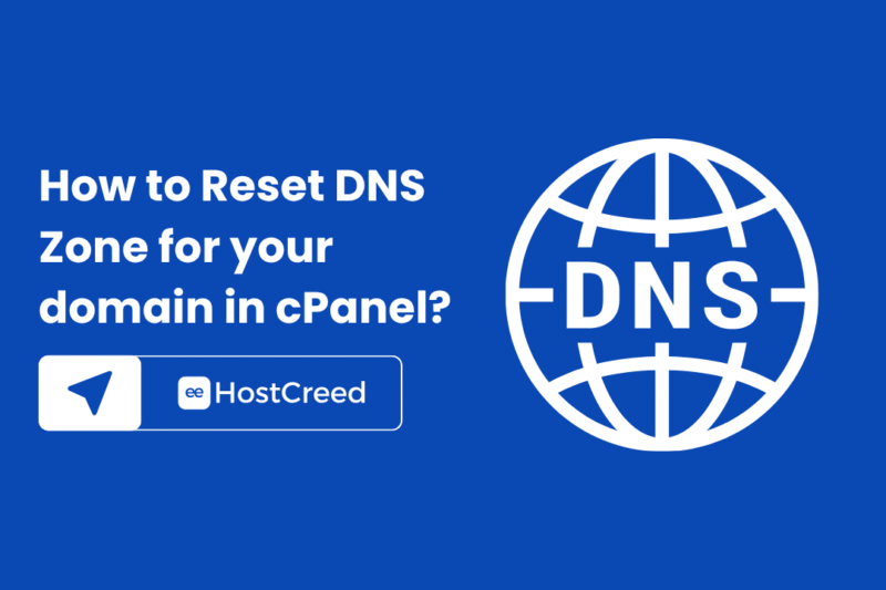 How to Reset DNS Zone in cPanel?
